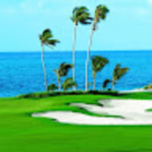 Meet your Posher, Gary